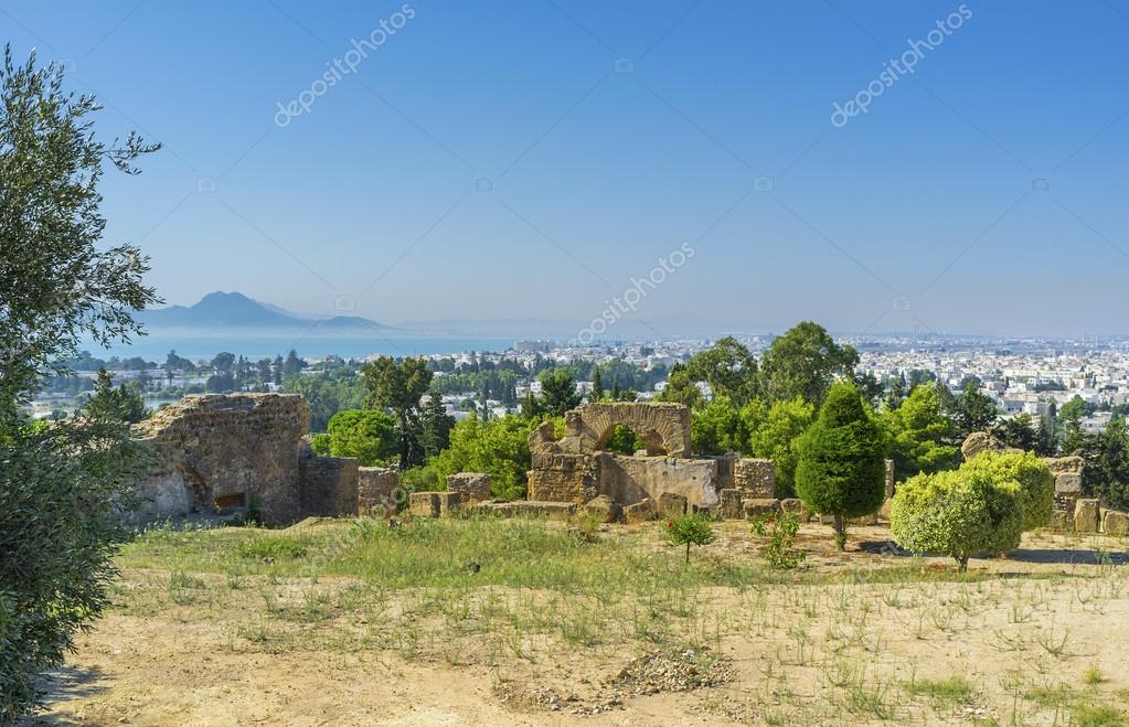 фото природа туниса онлайн фото природа туниса
