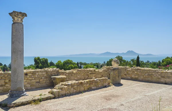 Cap Bon görünümü — Stok fotoğraf