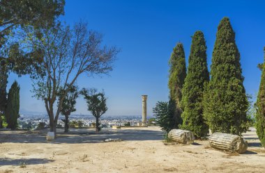 Parkta Byrsa Hill'de