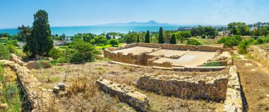 Carthage tepeden