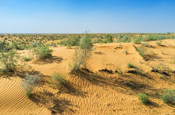 Kırmızı dune