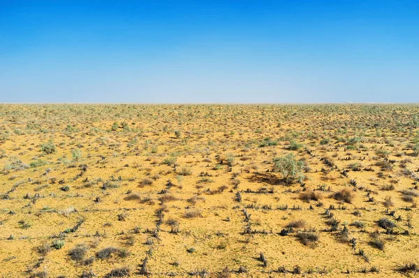 O deserto asiático — Fotografia de Stock