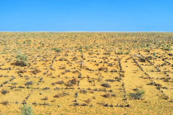 The Uzbek desert — Stock Image The Uzbek desert Stock Photo