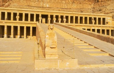 The falcon of Hatshepsut