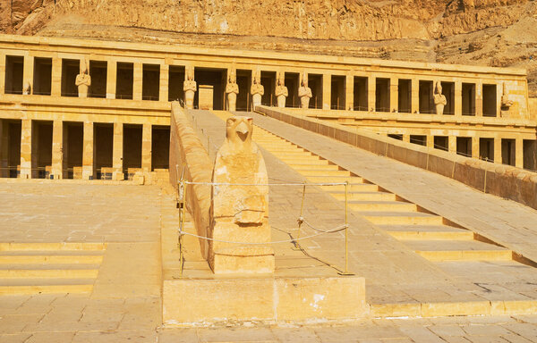 Сокол Хатшепсута
