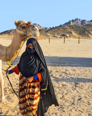 The Bedouin cameleer clipart