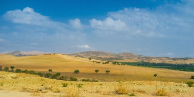 The fields of Tunisia