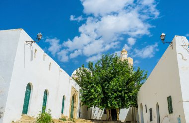 The lush tree in Mosque's courtyard