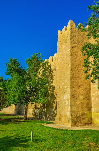 De middeleeuwse stadsmuren — Stockfoto