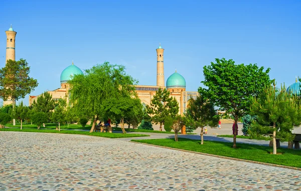 Die Moschee hinter den Bäumen — Stockfoto