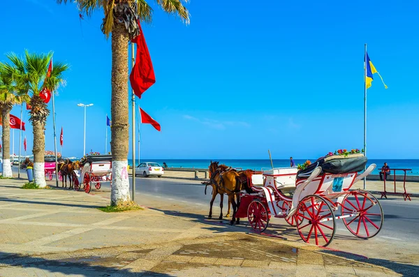 El paseo del caballo — Foto de Stock