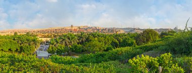 The lush garden in Cairo