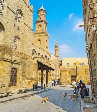 The Mosques of Islamic Cairo