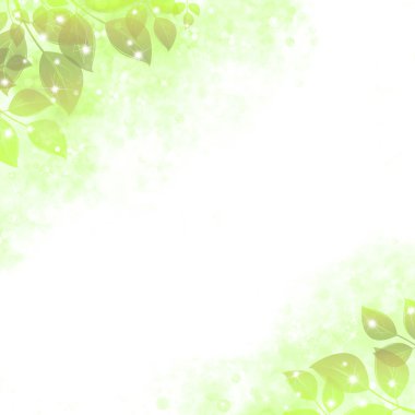 Parlak yaprakları, kireç ile yumuşak arka plan