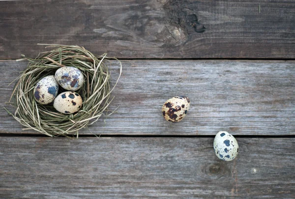 Quail eggs in a straw nest — Stock Photo, Image