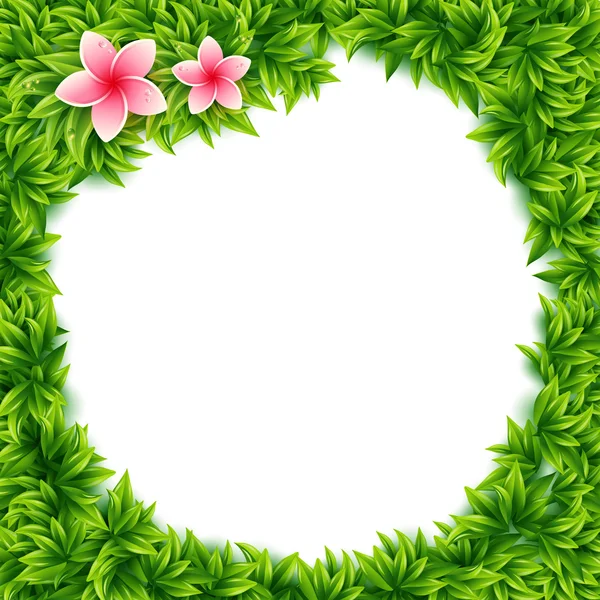 Fresh green leaves and tropical flowers frame — Stock Vector