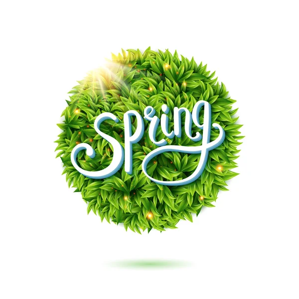 Φρέσκα πράσινα φύλλα και ηλιοφάνεια για την άνοιξη — Διανυσματικό Αρχείο