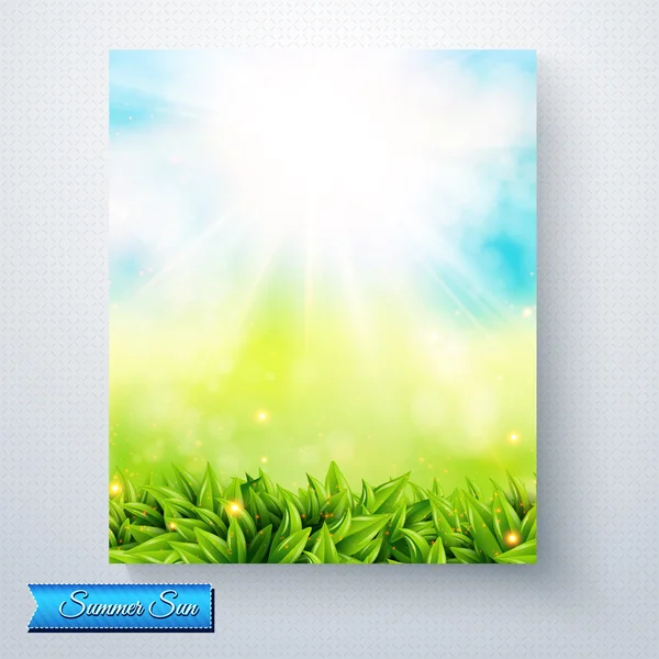 Summer sun burst over a fresh green meadow — Stock Vector