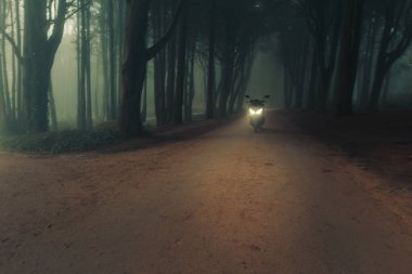 Sintra ormanının mistik sisi, Portekiz