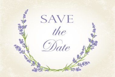 Teşekkür kartı Eflatun