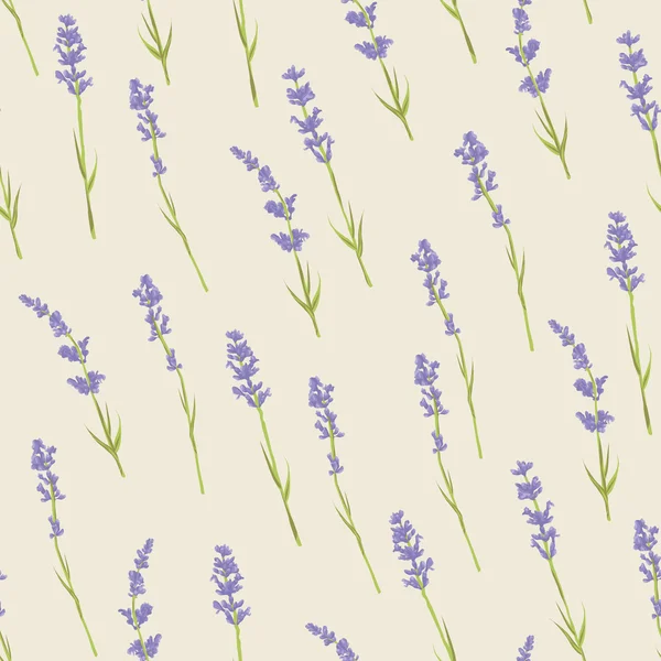 Seamless pattern with lavender flowers. — Stock Vector