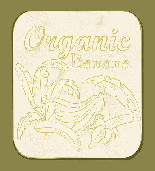 Etiqueta de plátano orgánico fresco . — Archivo Imágenes Vectoriales