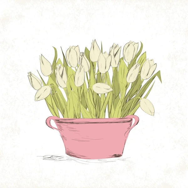 Primavera tulipa flores — Vetor de Stock