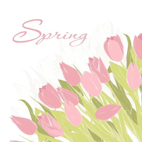 Spring tulip flowers — Stock Vector