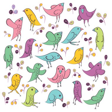 sevimli kuş kümesi