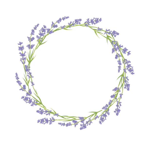 Círculo de flores de lavanda — Vetor de Stock