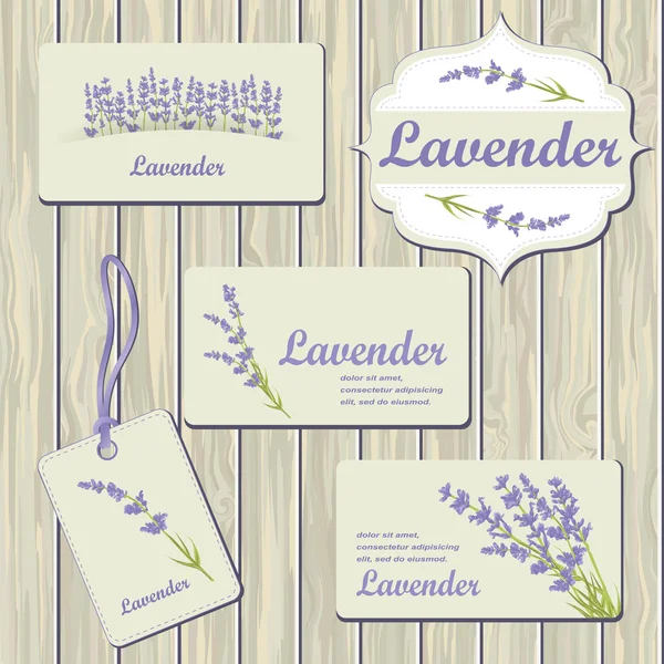 Carte ed etichette di lavanda — Vettoriale Stock