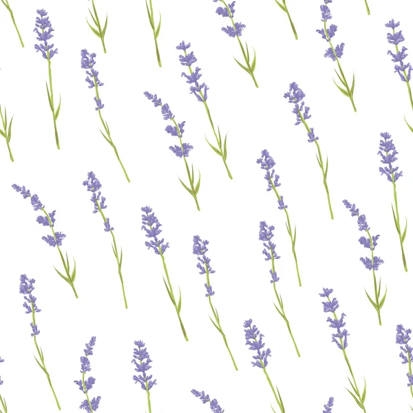 Seamless lavender pattern. — Stock Vector