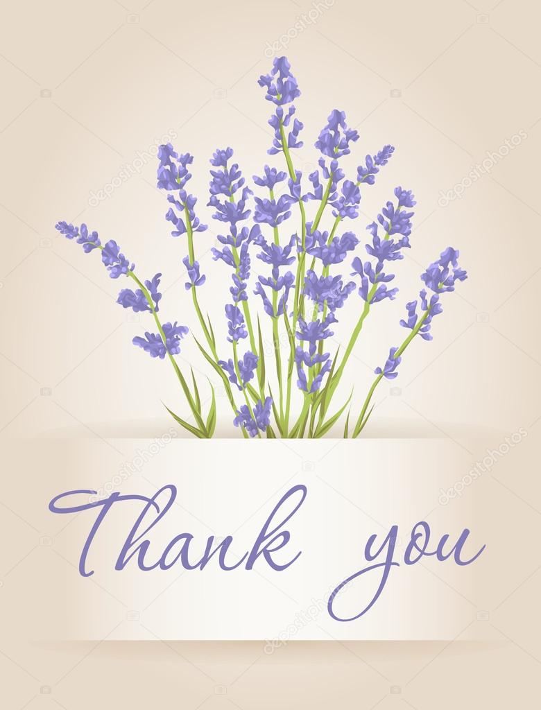 Thank you card with lavender