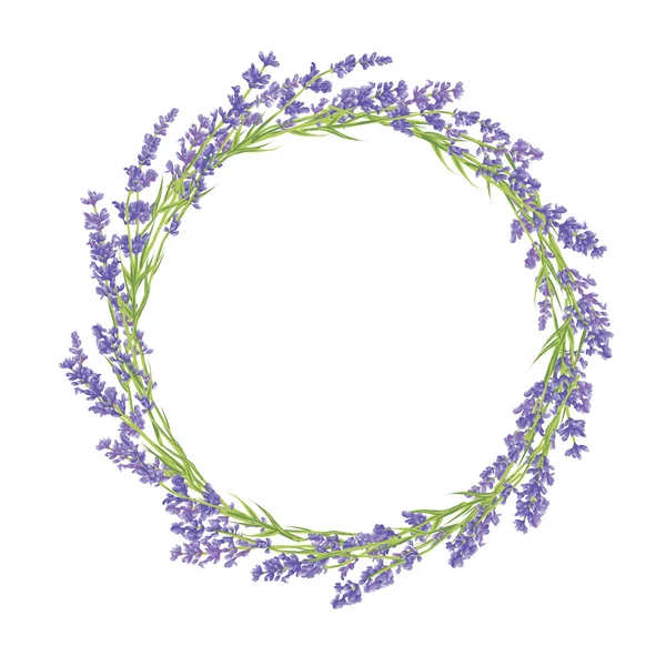 Circle of lavender flowers — Stock Vector