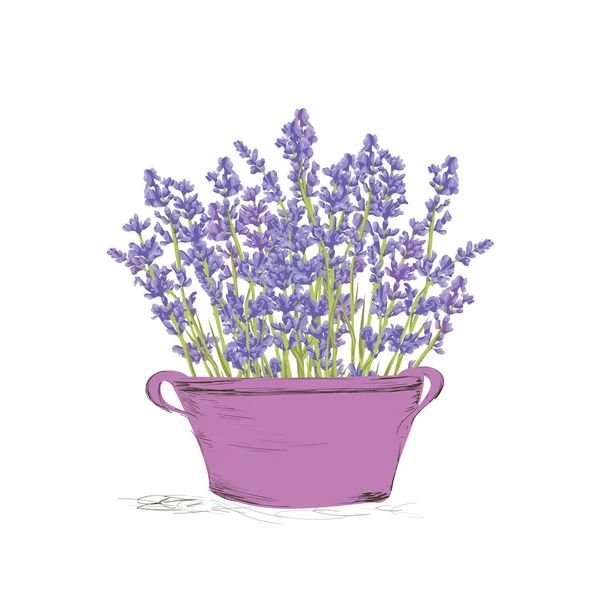 Sömlös lavendel mönster. — Stock vektor