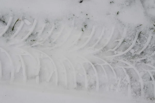 Bandensporen in de sneeuw — Stockfoto