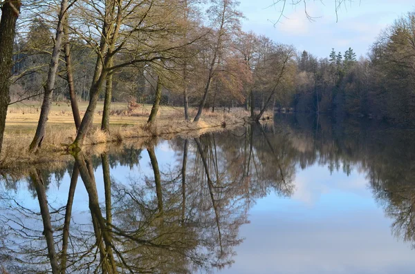 Calmly flowing river Nezarka, South Bohemia — Stock Photo, Image