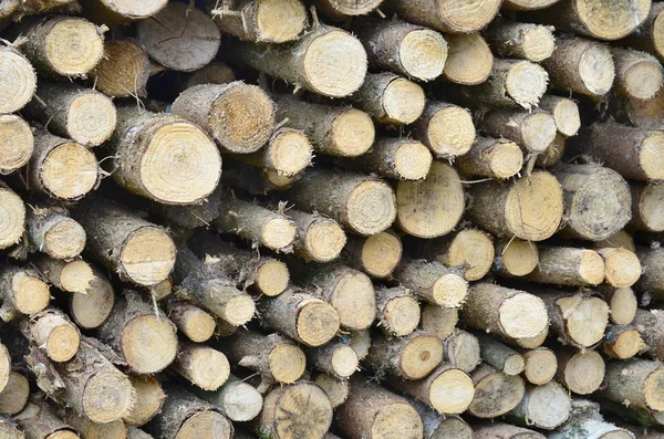 Borda de madeira picada — Fotografia de Stock