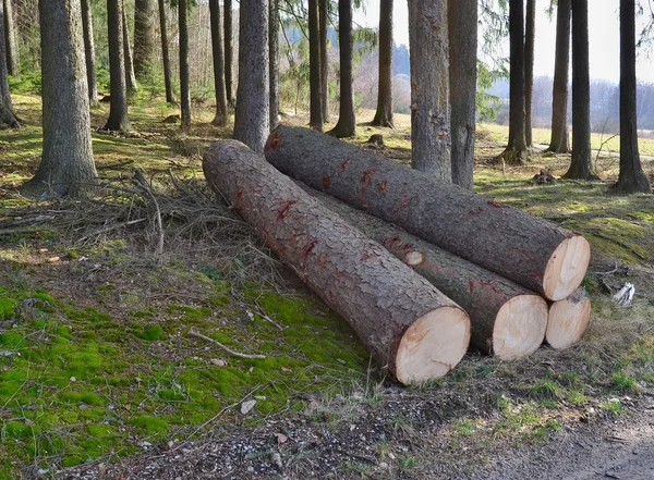 Timber ready for transport, South Bohemia — Stock Photo, Image