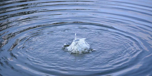 Propagacji poziom wody w jeziorze — Zdjęcie stockowe