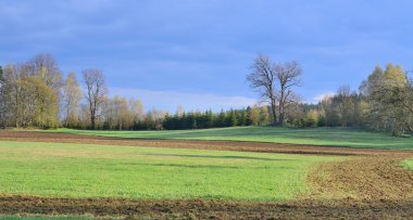 Bahar kırsal, Güney Bohemya görünümünü