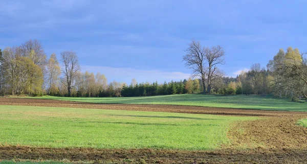Bahar kırsal, Güney Bohemya görünümünü