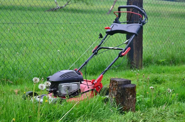 Spring mowing grass in the garden, south Bohemia — Stock Photo, Image