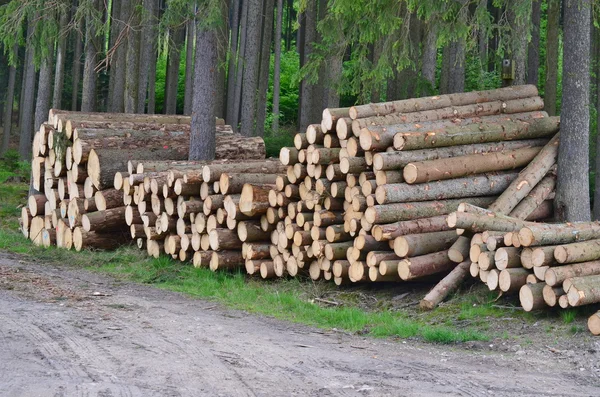 Dřevo, které jsou připraveni k transportu, Jižní Čechy — Stock fotografie