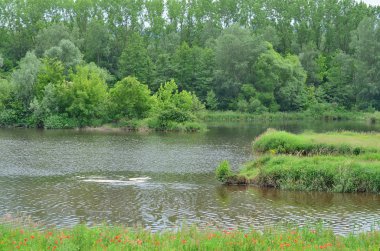 oxbows Danube region Wachau