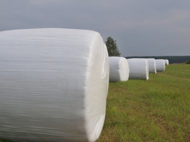 haymaking, saman Muhafazası, Güney Bohemya