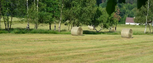 Szárított fű, hagyományos. Dél-Csehország — Stock Fotó