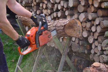 south bohemia bir testere ile çalışmak