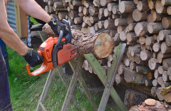 Work with a chainsaw, South Bohemia — Stock Photo, Image