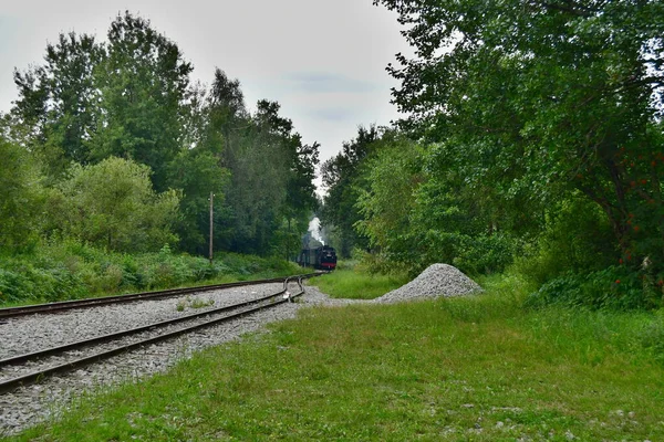 Único Ferrocarril Histórico Vía Estrecha Bohemia Del Sur — Foto de Stock